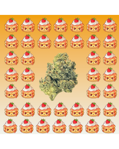 Pancakes -THCA