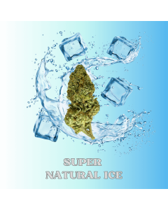 Super Natural Ice - THCA